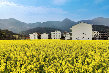《春到山村》
