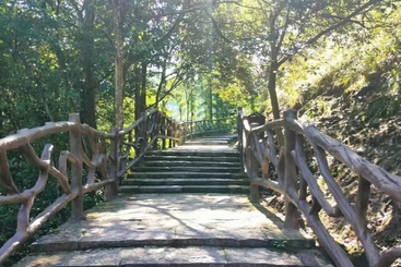 林间小路