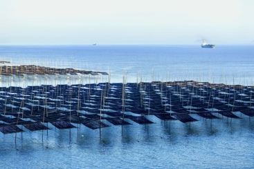 碧海田园
