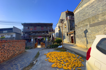 《农家小院》