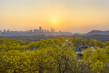 《夕阳无限好》