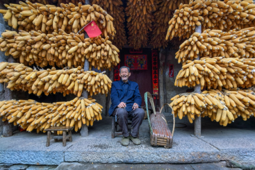 乐