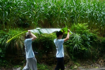 雨伞