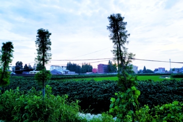 绿野乡景