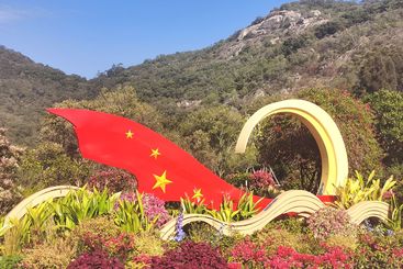 飘扬