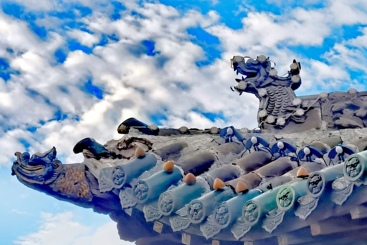历史的守望
