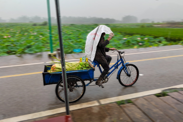 雨中奔劳