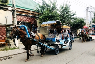 维族马车