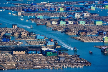海上人家