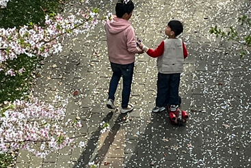 桃花树下