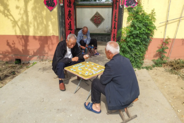 老来乐
