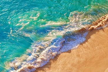 浪漫夏日