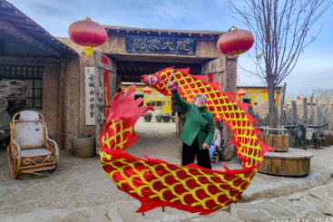《刘家大院舞金龙》