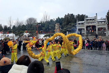 龙腾卧龙岗