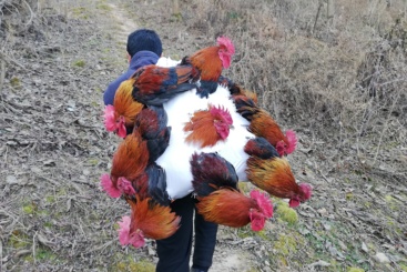 在路上