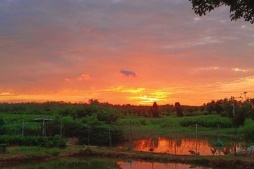 夕阳田园