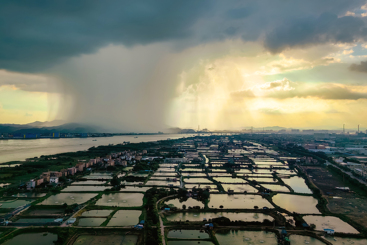 东山飘雨西山晴