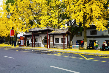 《最美公交站》
