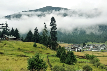 空山新雨后
