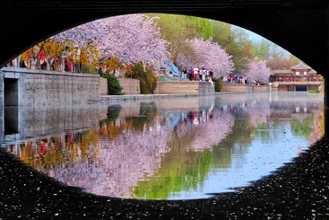 春眸