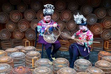 小鸟笼大市场