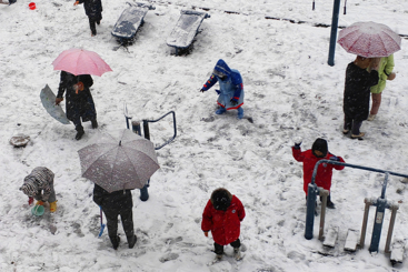 雪中乐