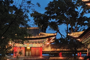 一帘幽梦