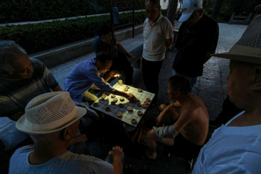 乐在棋中