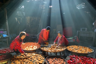 光照农家