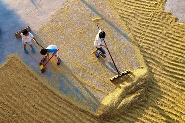 暑假作业