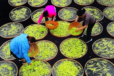 丰收季节
