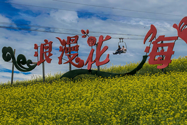 浪漫花海
