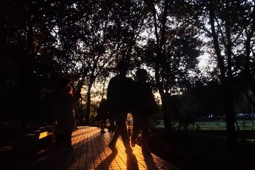 青春向阳