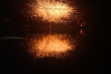 铁树开花