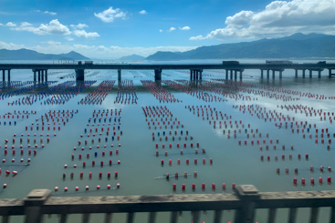 《海天一色》