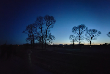 这里的夜静悄悄