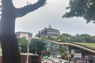 渝见钟情