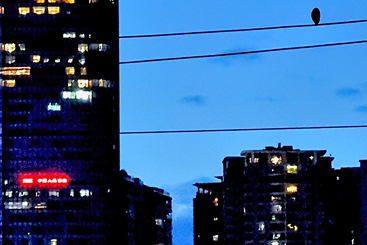 夜幕来临