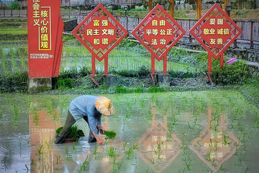 《春耕时节》