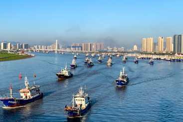 《杨帆出海》