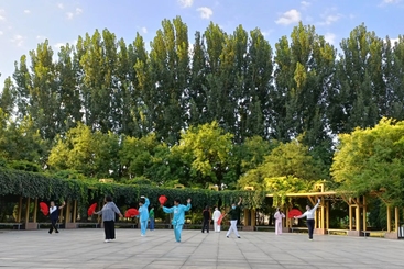 清晨的公园