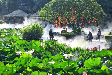 莲花圣景