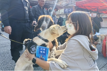 扫码撸狗