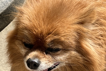 治愈瞬间