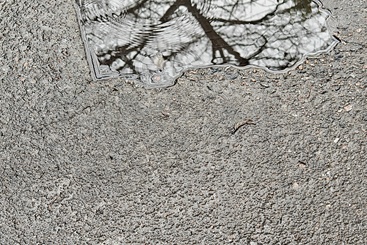 雨后