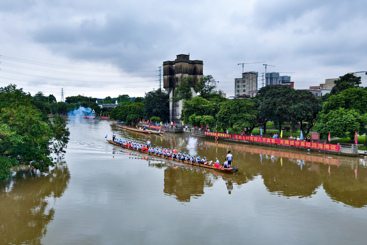 水乡龙舟节