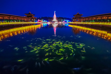 静谧夜色