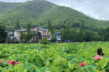 《绿水青山就是金山银山》