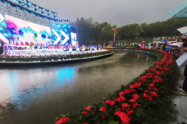 雨中激情