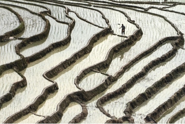 又是一年丰收年
